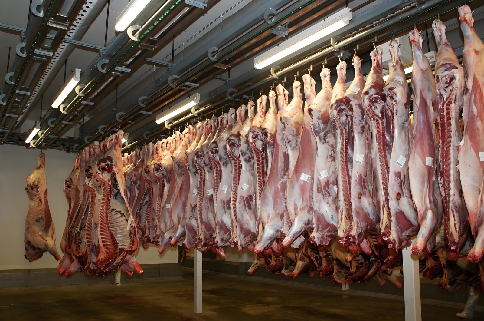 Lianjian New Materials-Professional Supplier of Water Treatment Chemicals